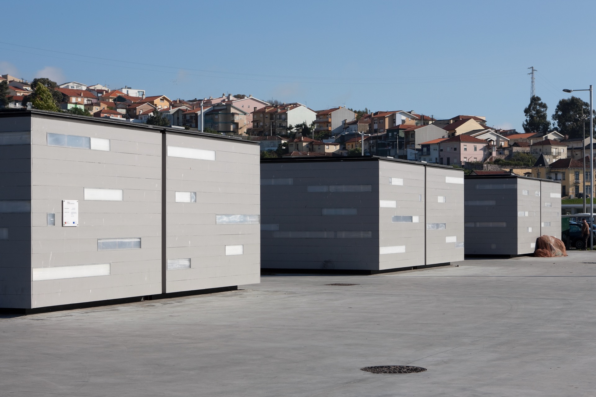 P163_LFA%20 %2024.jpeg