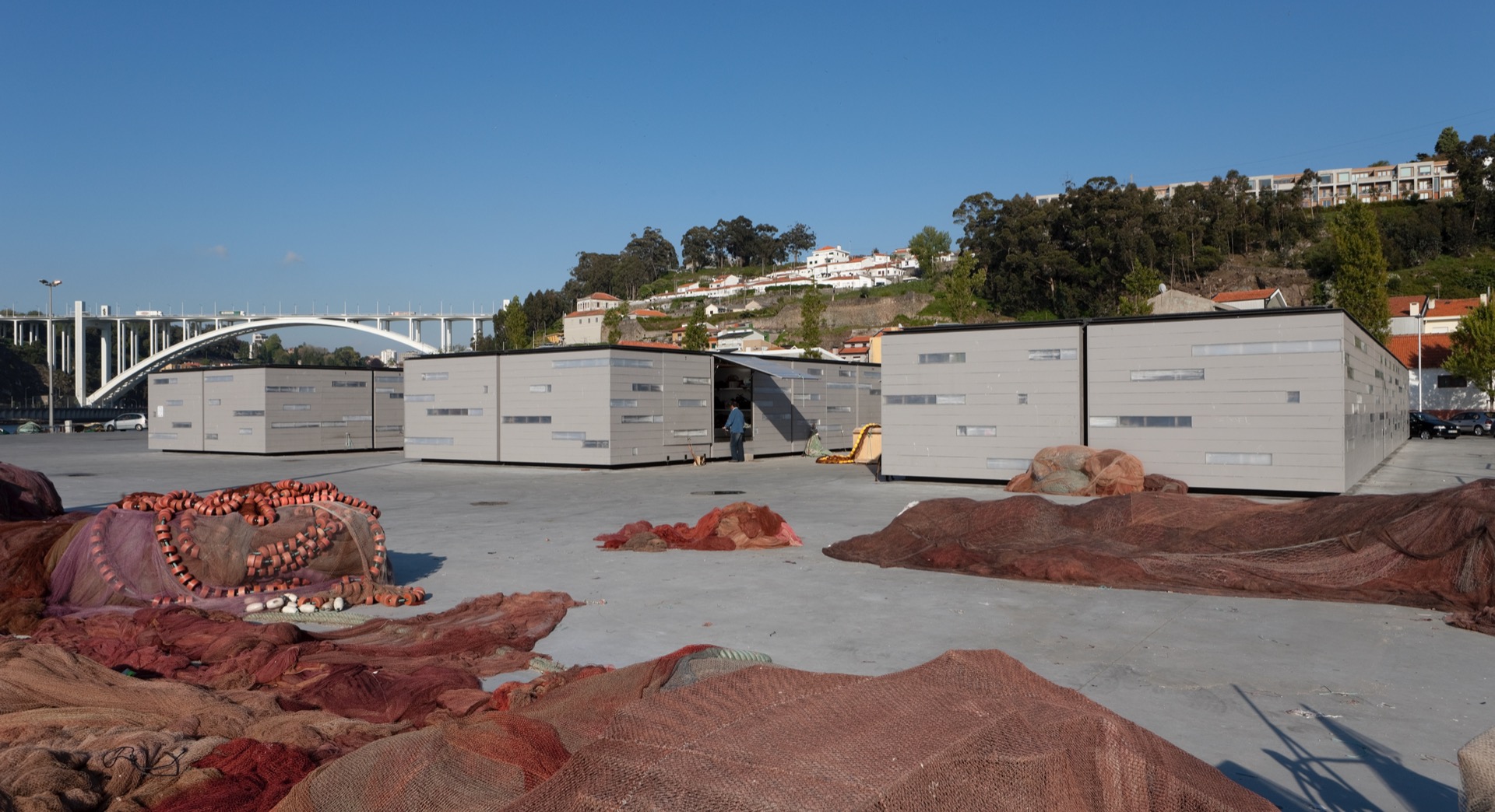 P163_LFA%20 %2024.jpeg