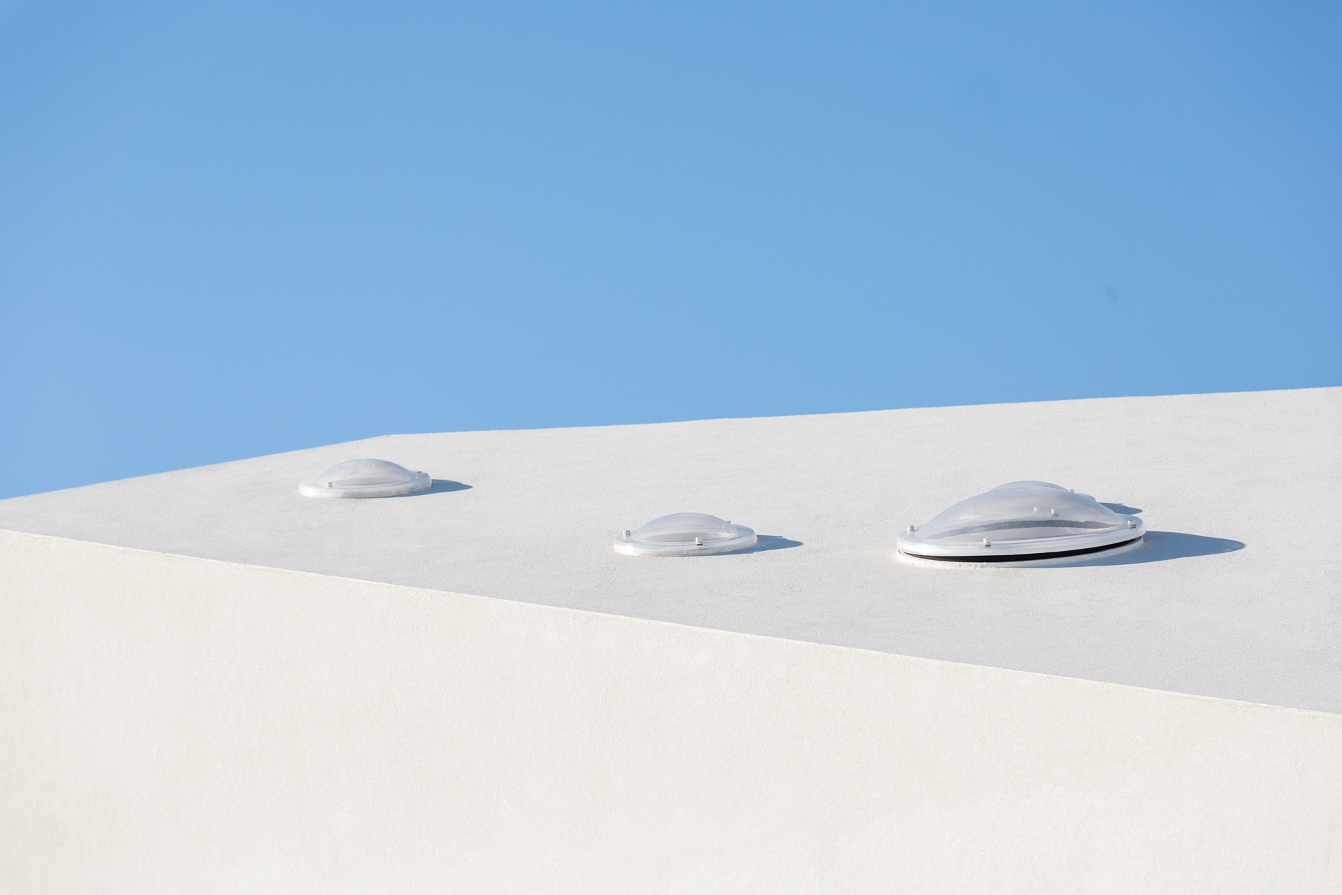 P163_LFA%20 %2024.jpeg