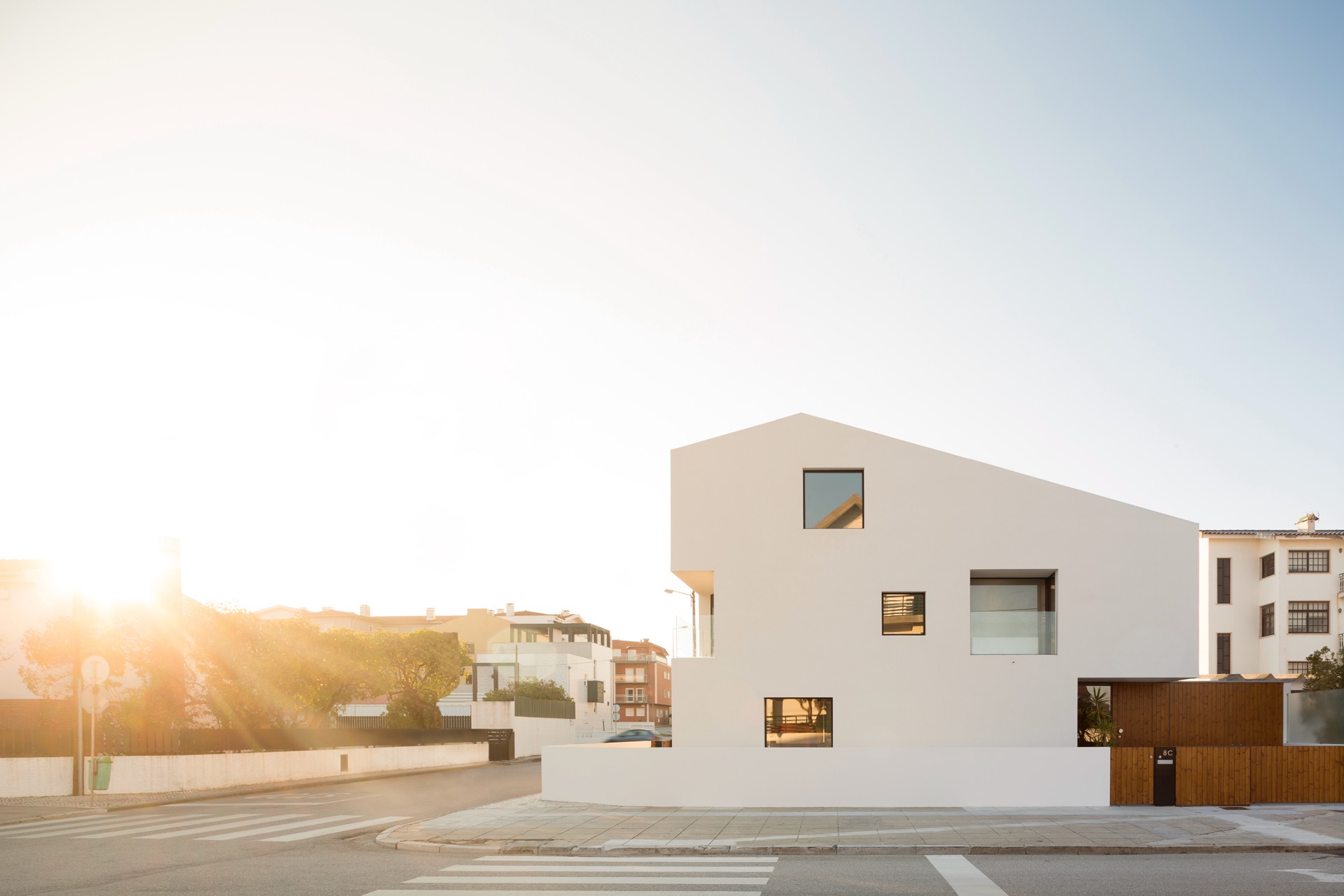 P163_LFA%20 %2024.jpeg