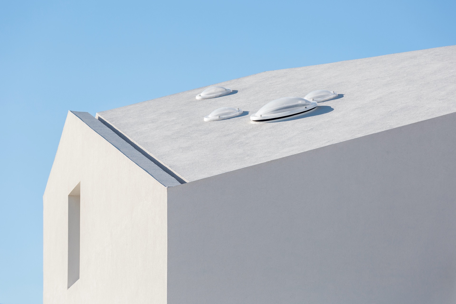 P163_LFA%20 %2024.jpeg