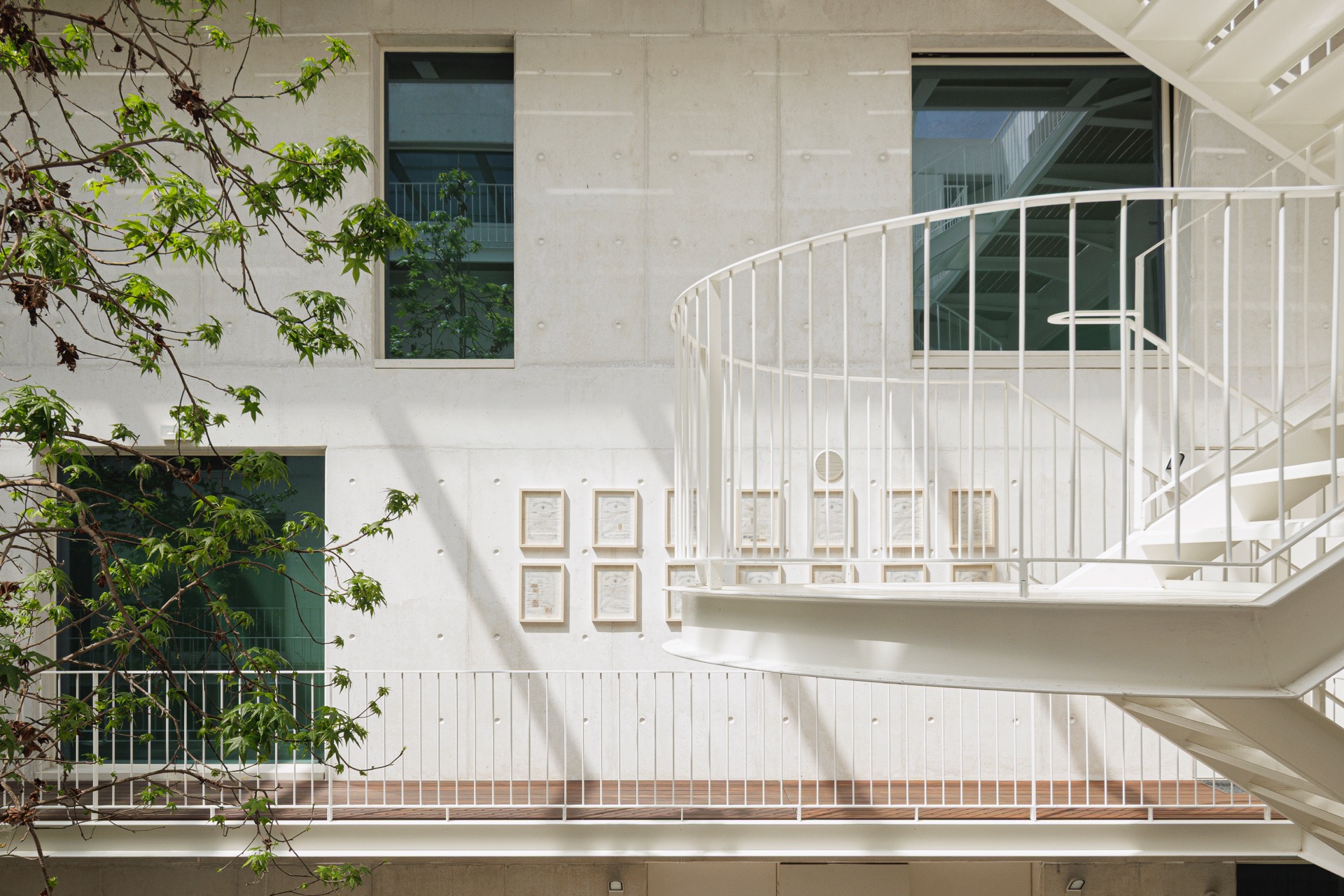 P163_LFA%20 %2024.jpeg