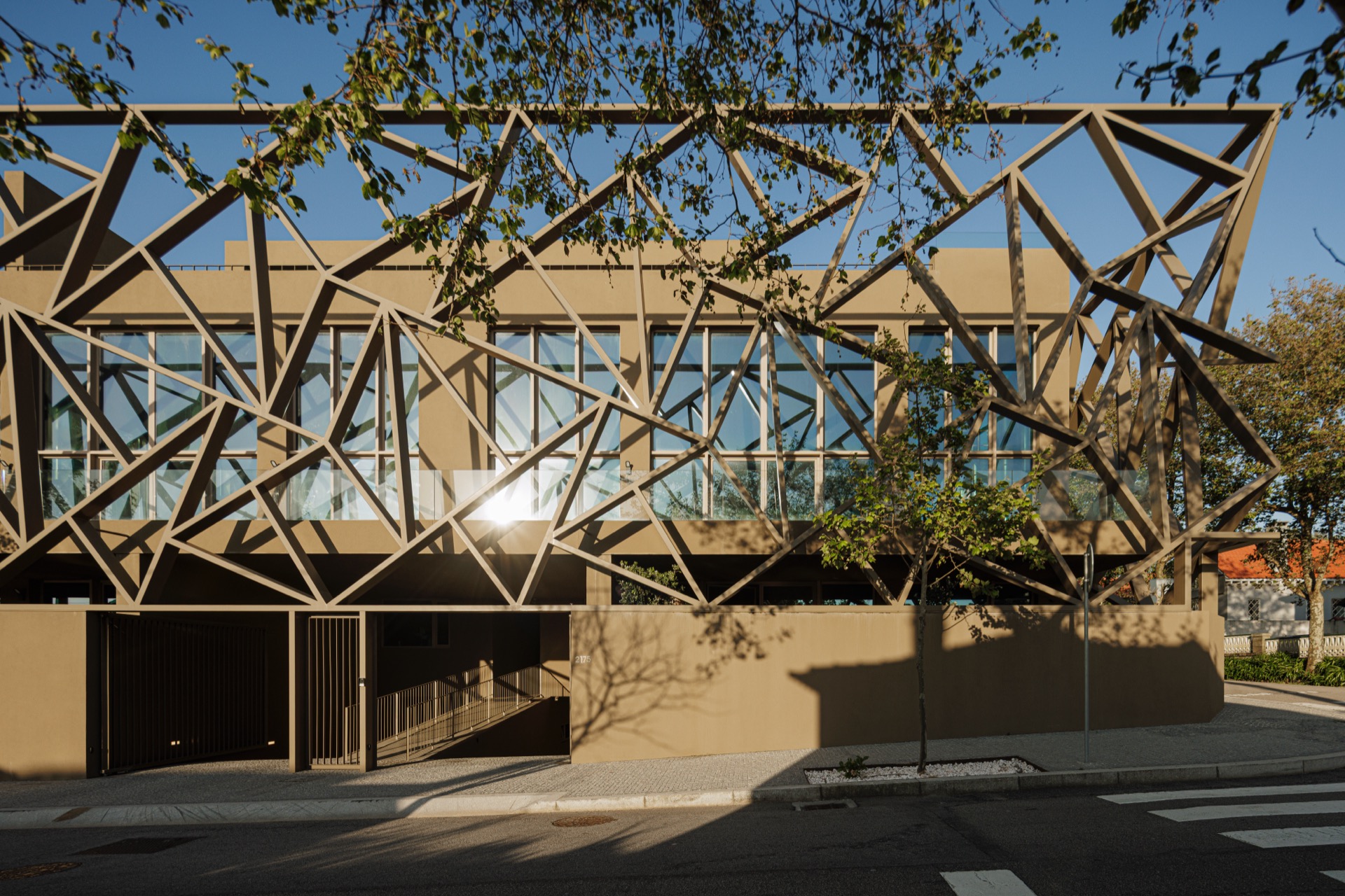 P163_LFA%20 %2024.jpeg