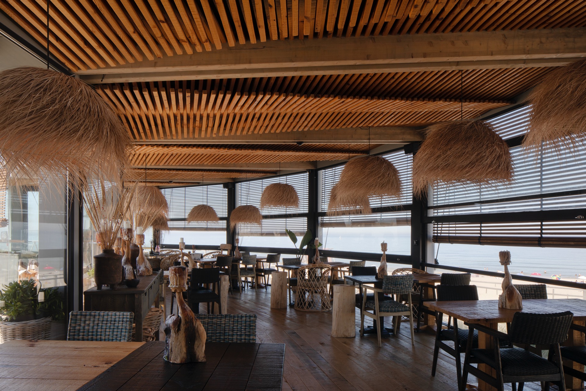 P163_LFA%20 %2024.jpeg