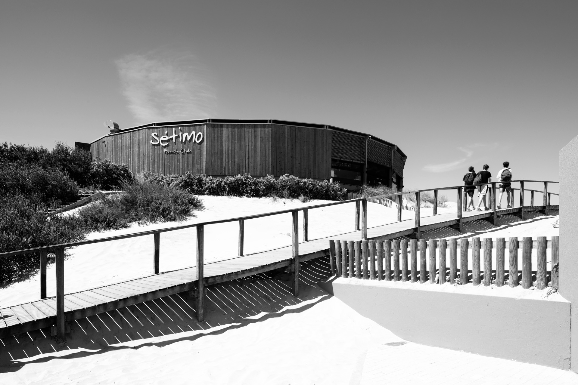 P163_LFA%20 %2024.jpeg