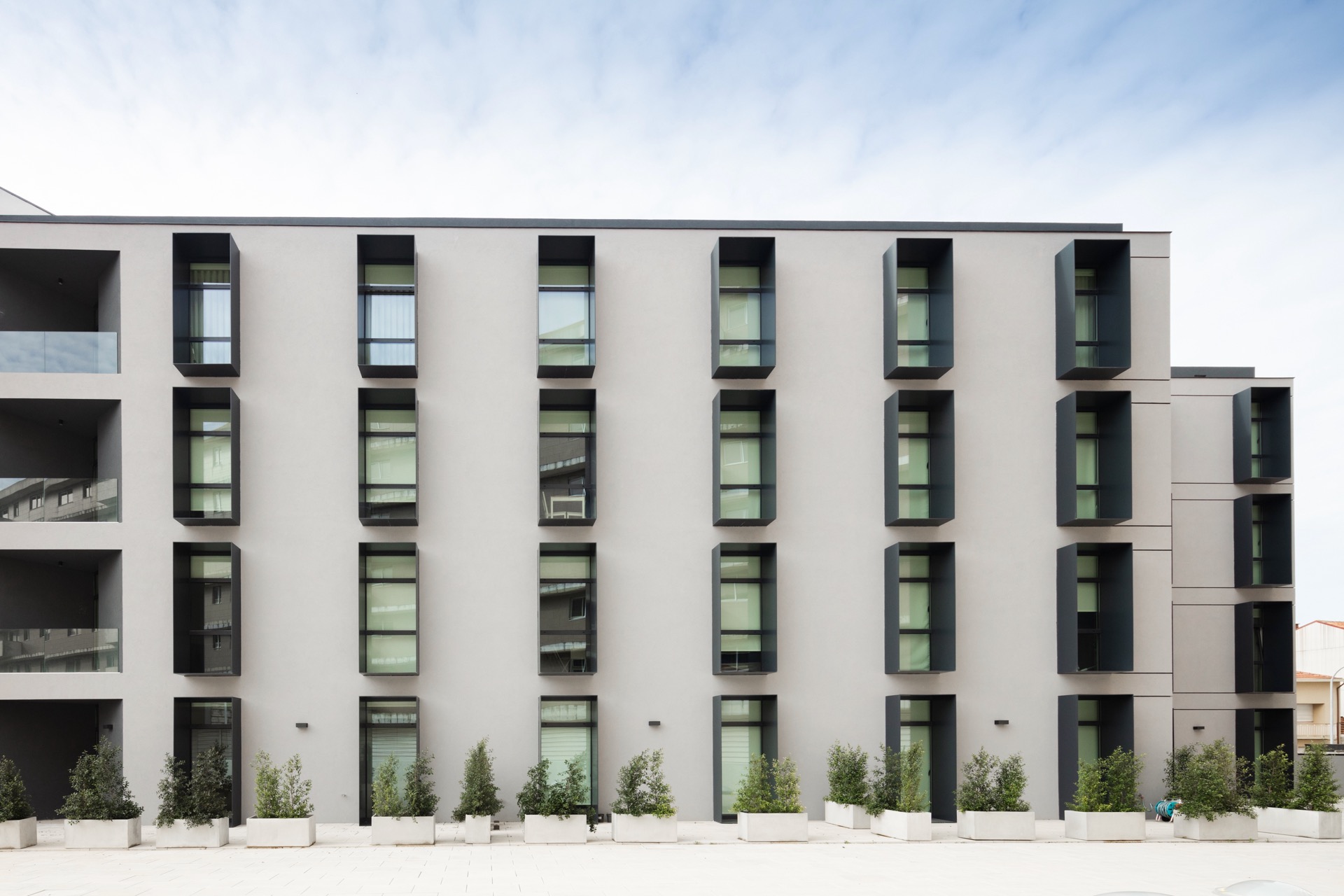 P163_LFA%20 %2024.jpeg