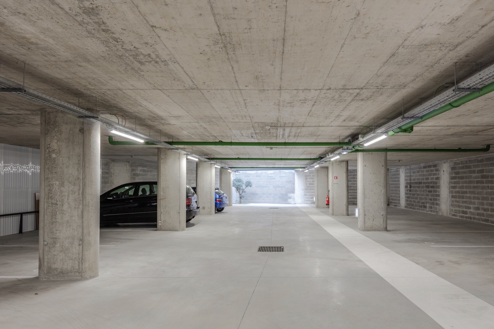 P163_LFA%20 %2024.jpeg