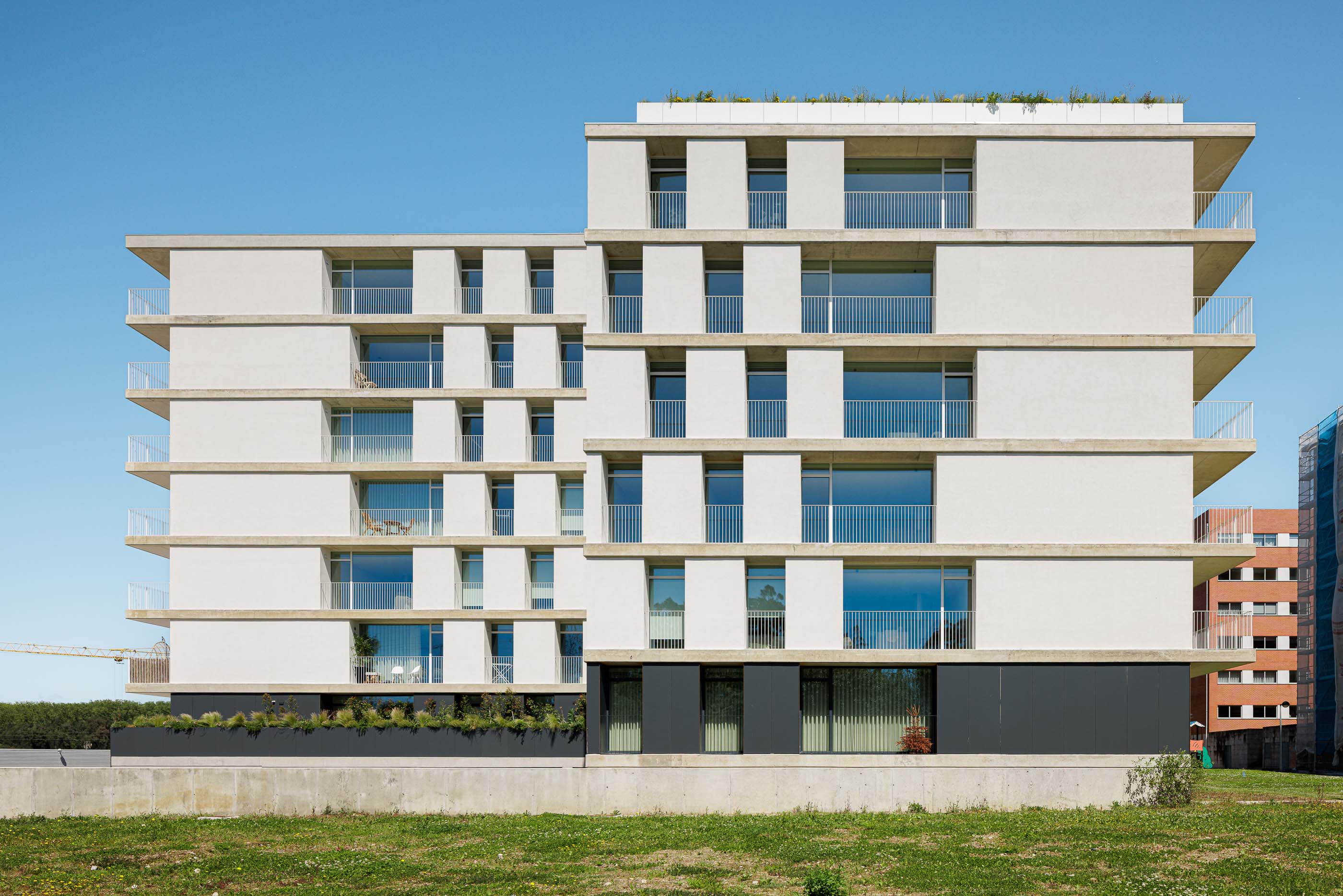 P163_LFA%20 %2024.jpeg