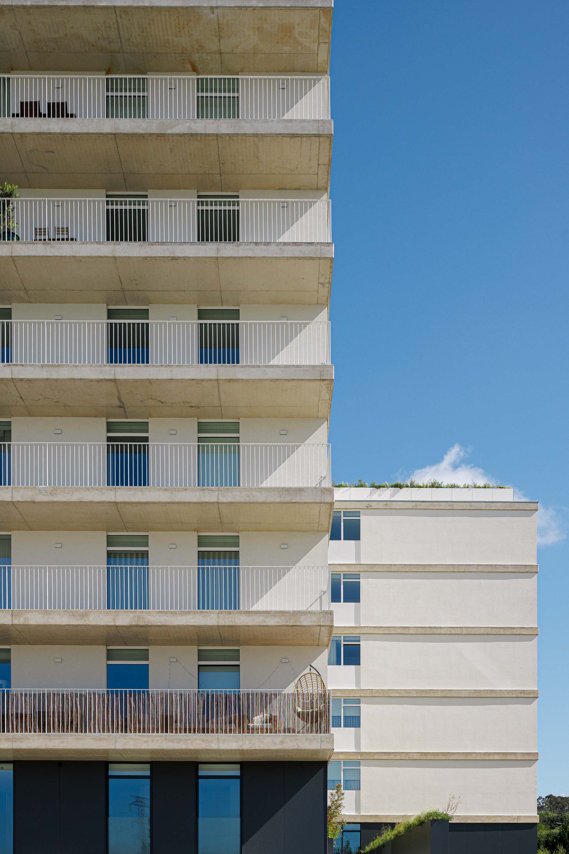 P163_LFA%20 %2024.jpeg