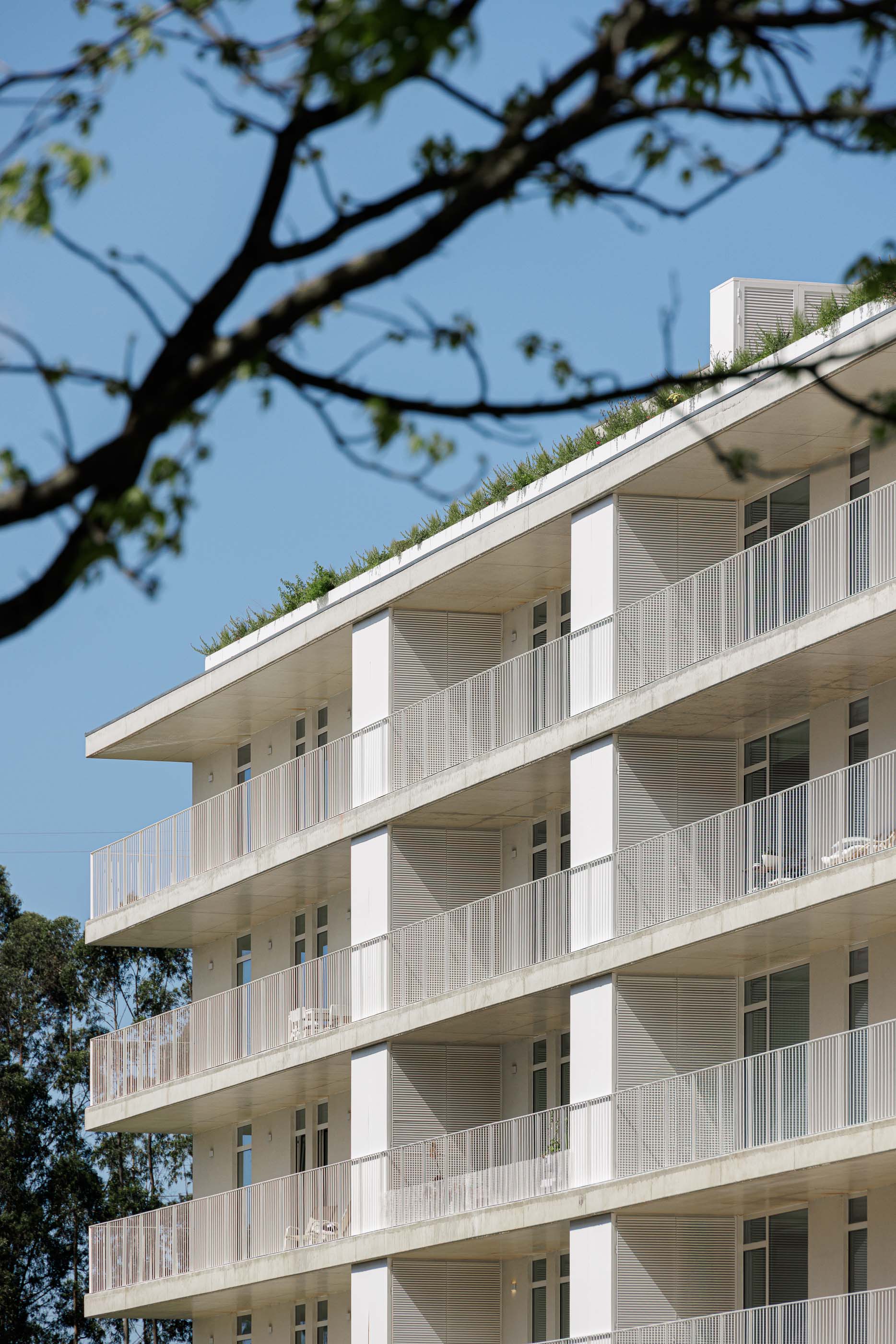 P000_20250507_Entrevista