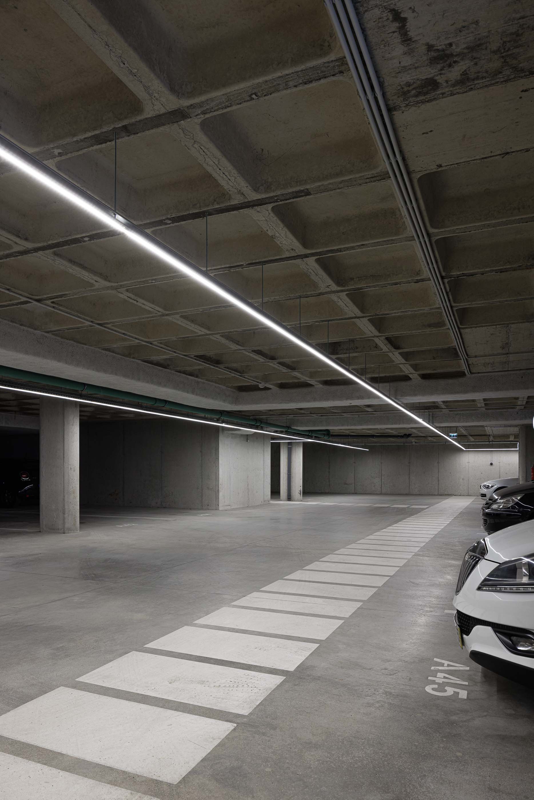 P163_LFA%20 %2024.jpeg